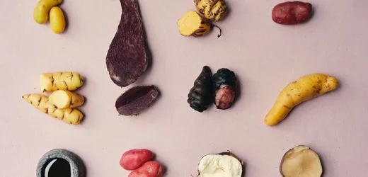 Kochen für Kinder: Was die beste Köchin der Welt ihrem Kind serviert