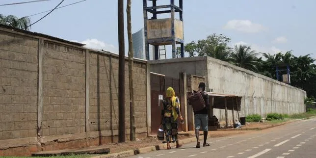 Les deux journalistes français détenus au Togo depuis la fin juillet, Gaël Mocaër et Sebastian Perez Pezzani, ont été libérés