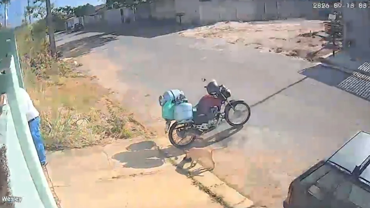 VÍDEO: 'Cão ladrão' assalta entregador de gás em MG