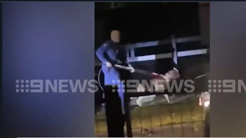 Man hospitalised after Brisbane dog attack