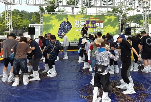 '보랏빛 맛의 유혹' 영동포도축제 개막…30일까지 열려