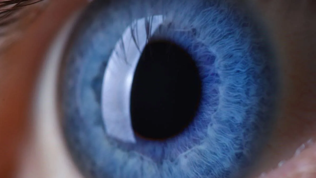 La contaminación del aire está relacionada con mayores probabilidades de glaucoma y cataratas