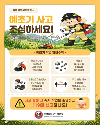 강원서 3년간 벌초·예초 중 510명 부상…벌 쏘임 가장 많아