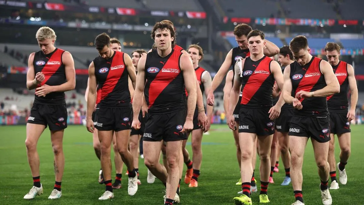 'Wade through the swamp': fans urged to back Bombers