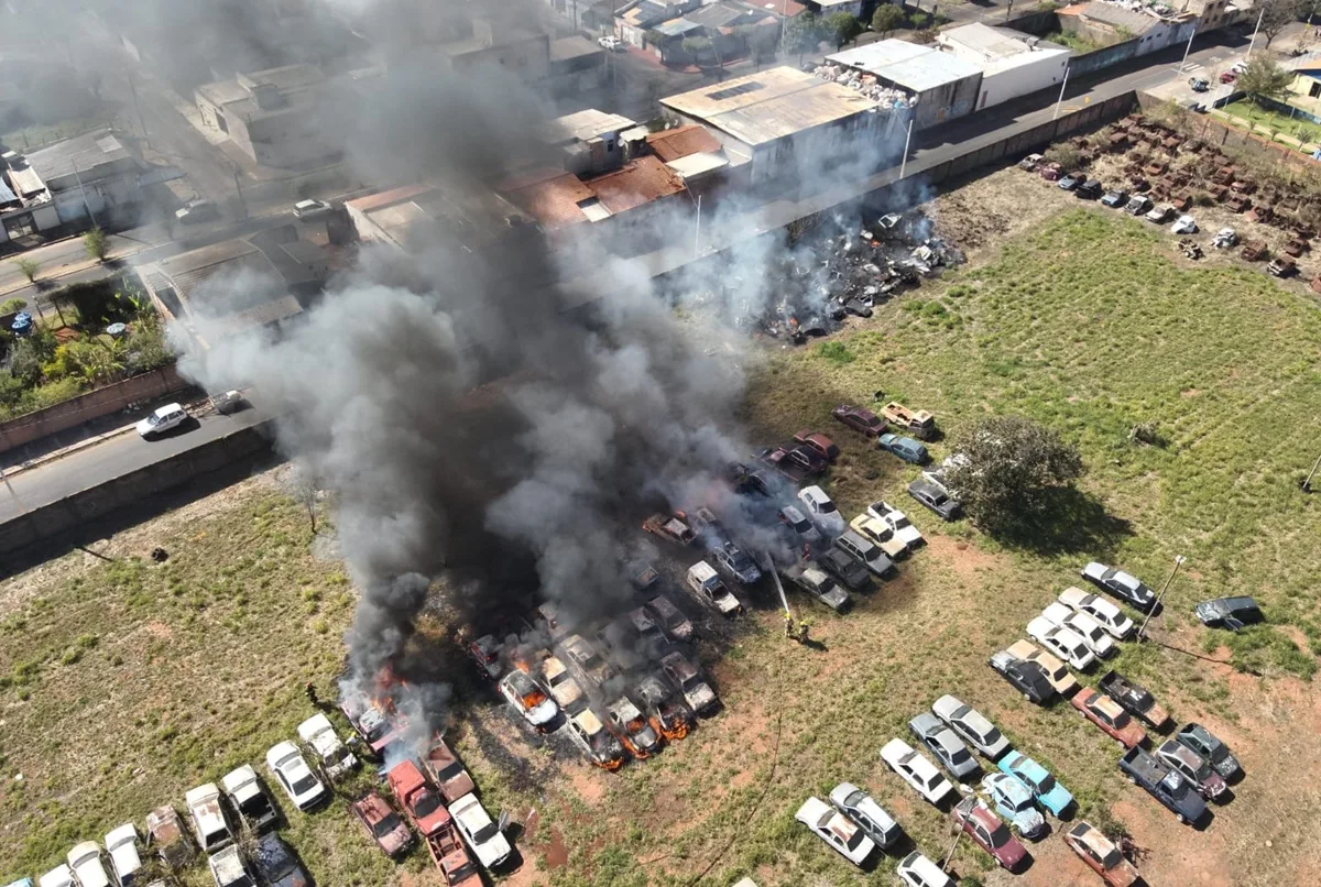 Queimar mato em lote pode acabar em carros destruídos e prisão