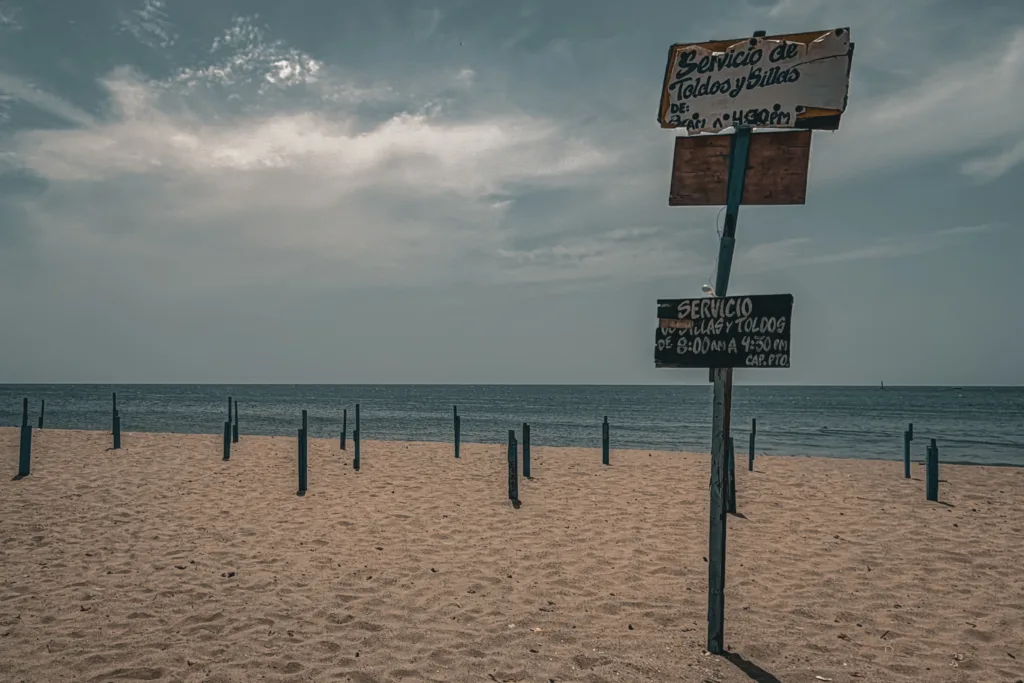 Sin turistas, comercios en La Guaira resisten con ventas mínimas, ahorros y reinvención
