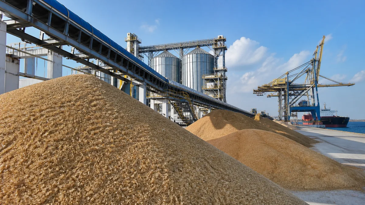 Índia autoriza importar 1 milhão de toneladas de açúcar sem tarifa
