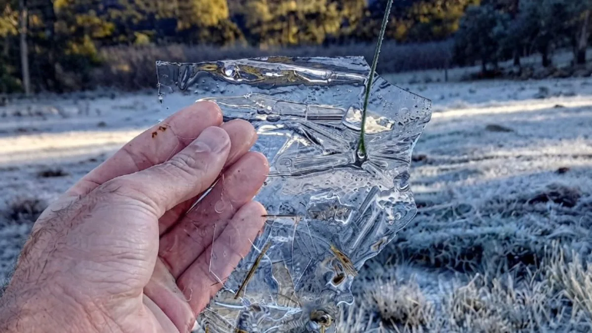 Última onda de frio do inverno derruba temperaturas após ciclone no fim de semana; veja quando há riscos de geadas