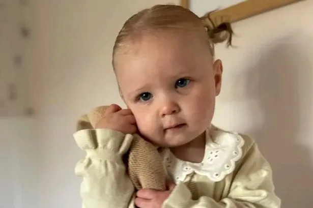 Girl, 2, drowned in pond on Christmas Day after vanishing for 'matter of minutes'