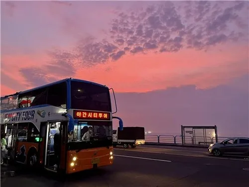 제주 야간 명소 누비는 '야(夜)밤버스' 4∼19일 추가 운행