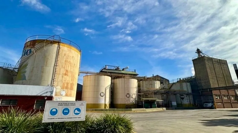 “Es un buen momento”: invertirán US$100 millones para reactivar una histórica planta de molienda de girasol