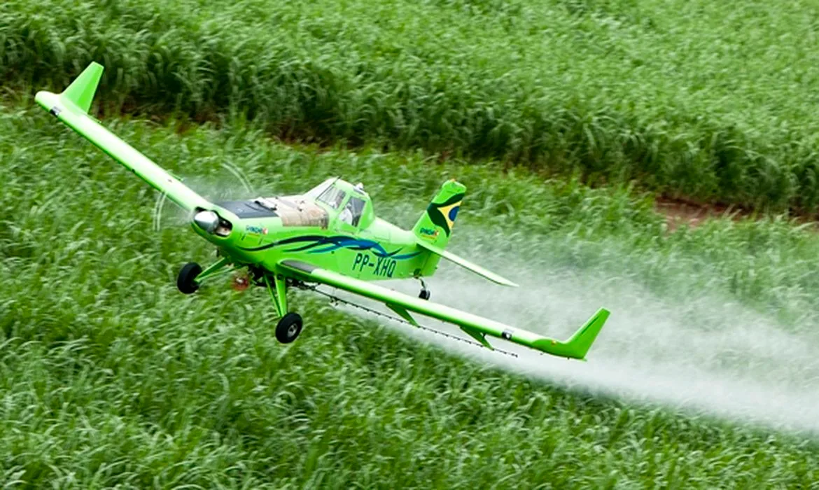 Produtores e empresa são condenados a pagar R$ 750 mil por pulverização de agrotóxicos perto de terra indígena em Roraima