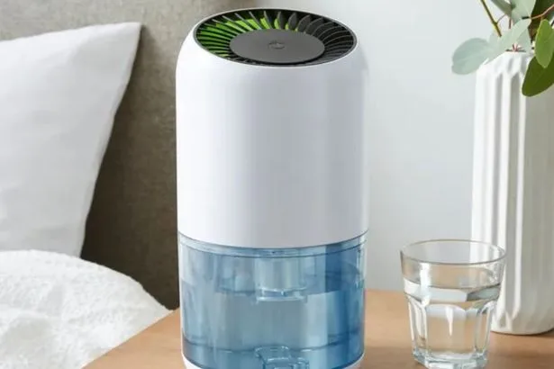 Shoppers rush to buy Martin Lewis-approved solution to tackle indoor damp and mold fast