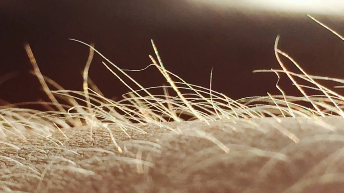 Estudian el cuerpo humano y descubren que el picor nace de un órgano sensorial desconocido hasta ahora