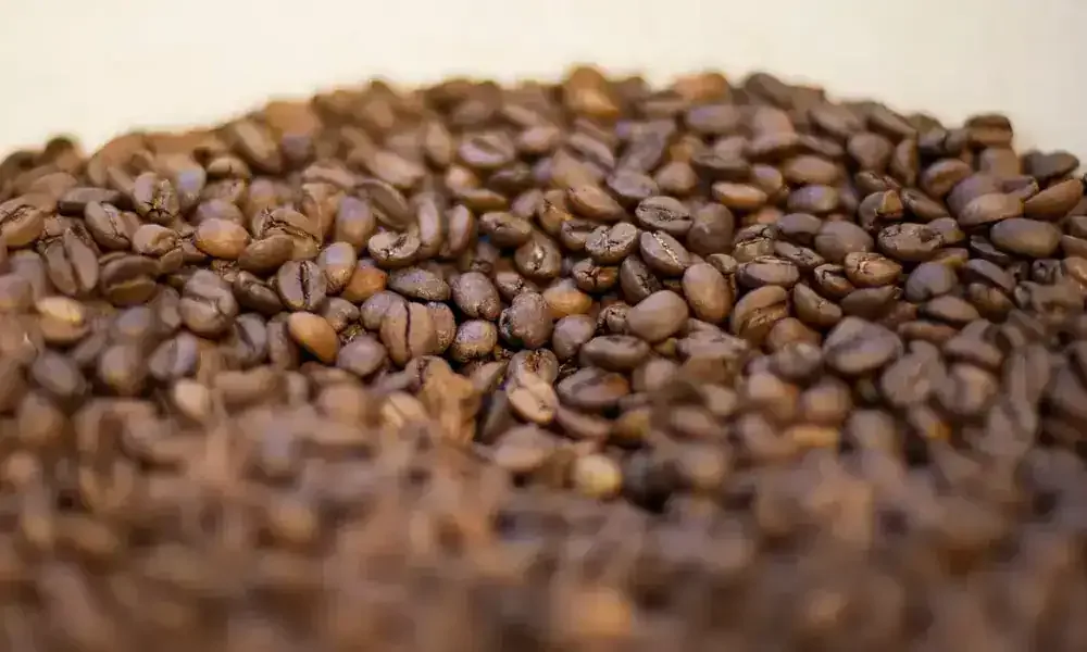 Exportações de café robusta crescem 66% e abrem espaço para o Acre