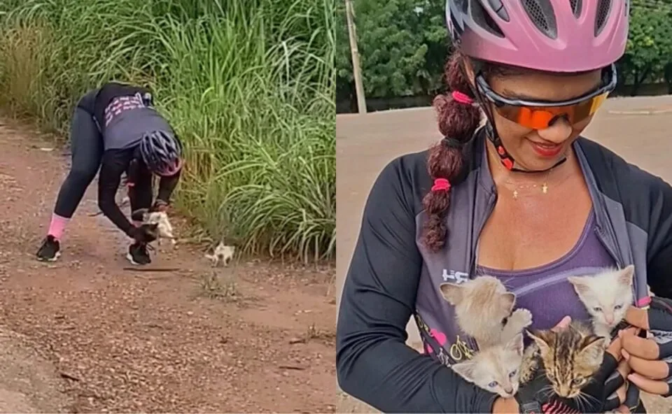 Ciclista usa a própria roupa para salvar 4 gatinhos abandonados na estrada: “Ela só tinha uma blusa e um coração bom”