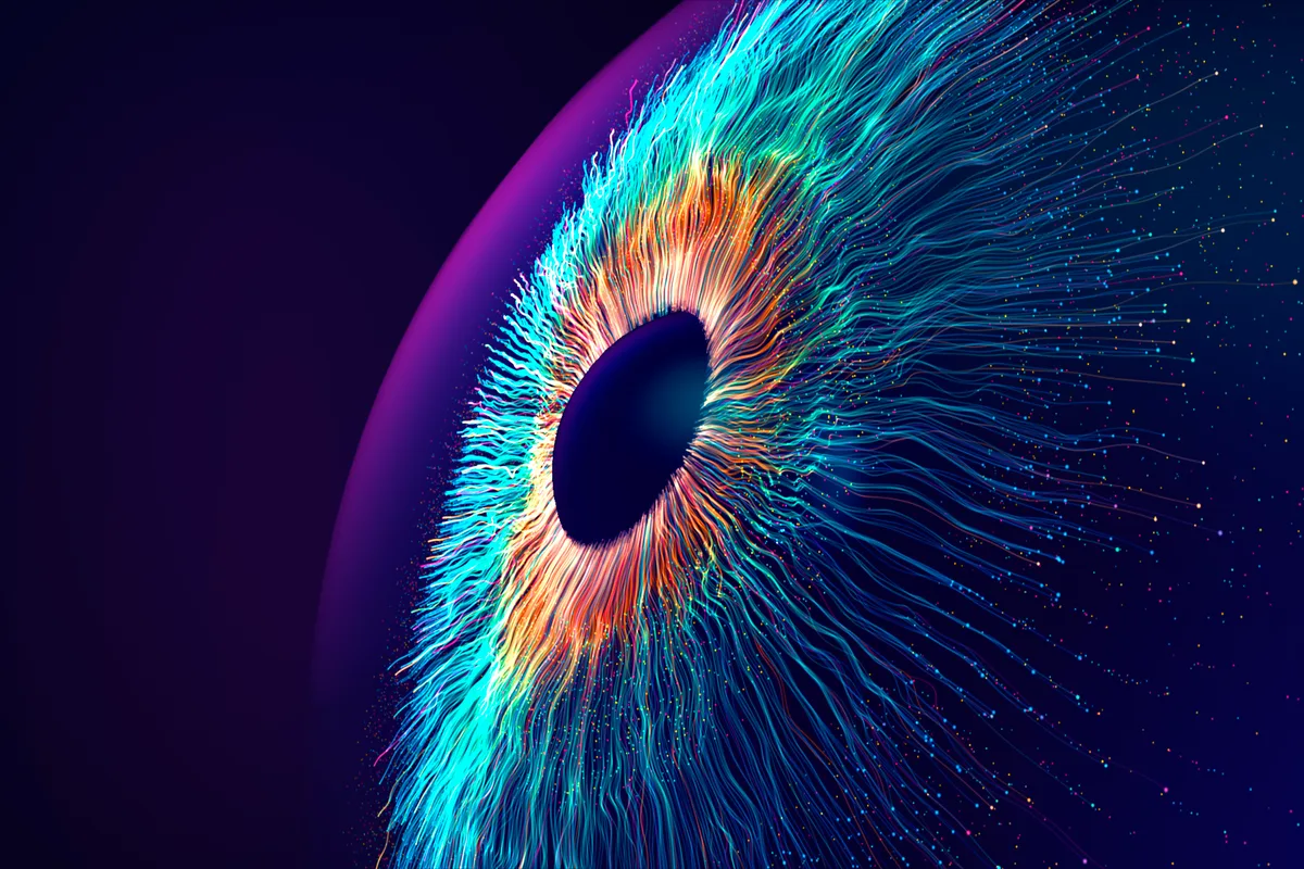 Why Silicon Valley’s Vision of the AI Future Should Worry You