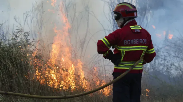Fogo em Torre de Moncorvo com três frentes e mais de 400 operacionais