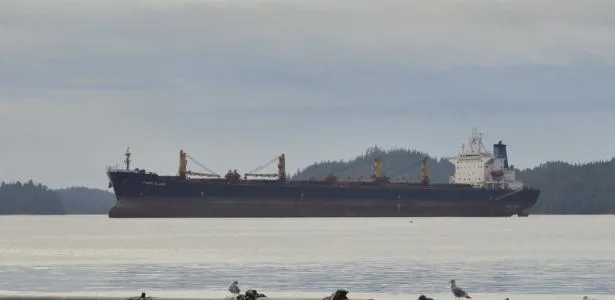 Navio cargueiro afunda na Índia; 2 são resgatados e 22 seguem desaparecidos