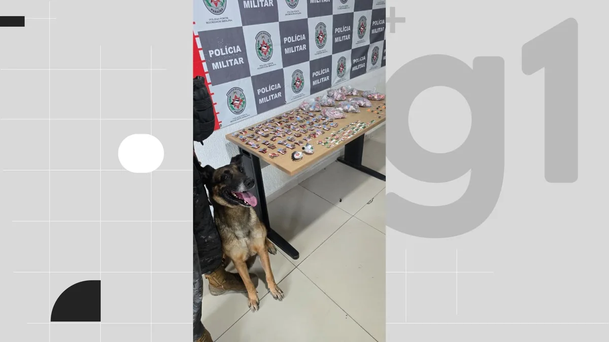 Polícia apreende drogas durante ação com cão farejador em comunidade de João Pessoa