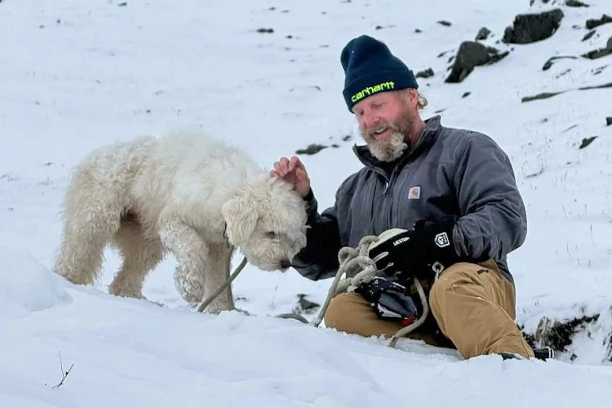 AirTag e drones encontram cadela viva 50 horas depois de uma avalanche