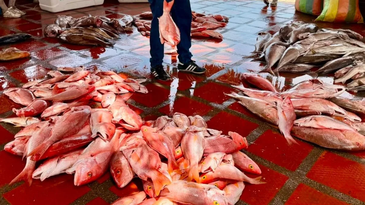 Armada de Colombia interceptó una embarcación venezolana con más de 470 kilogramos de pesca ilegal en el Caribe