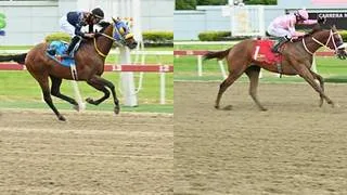 La dura estadística que deben romper Believe Andrew y Alana el domingo en La Rinconada