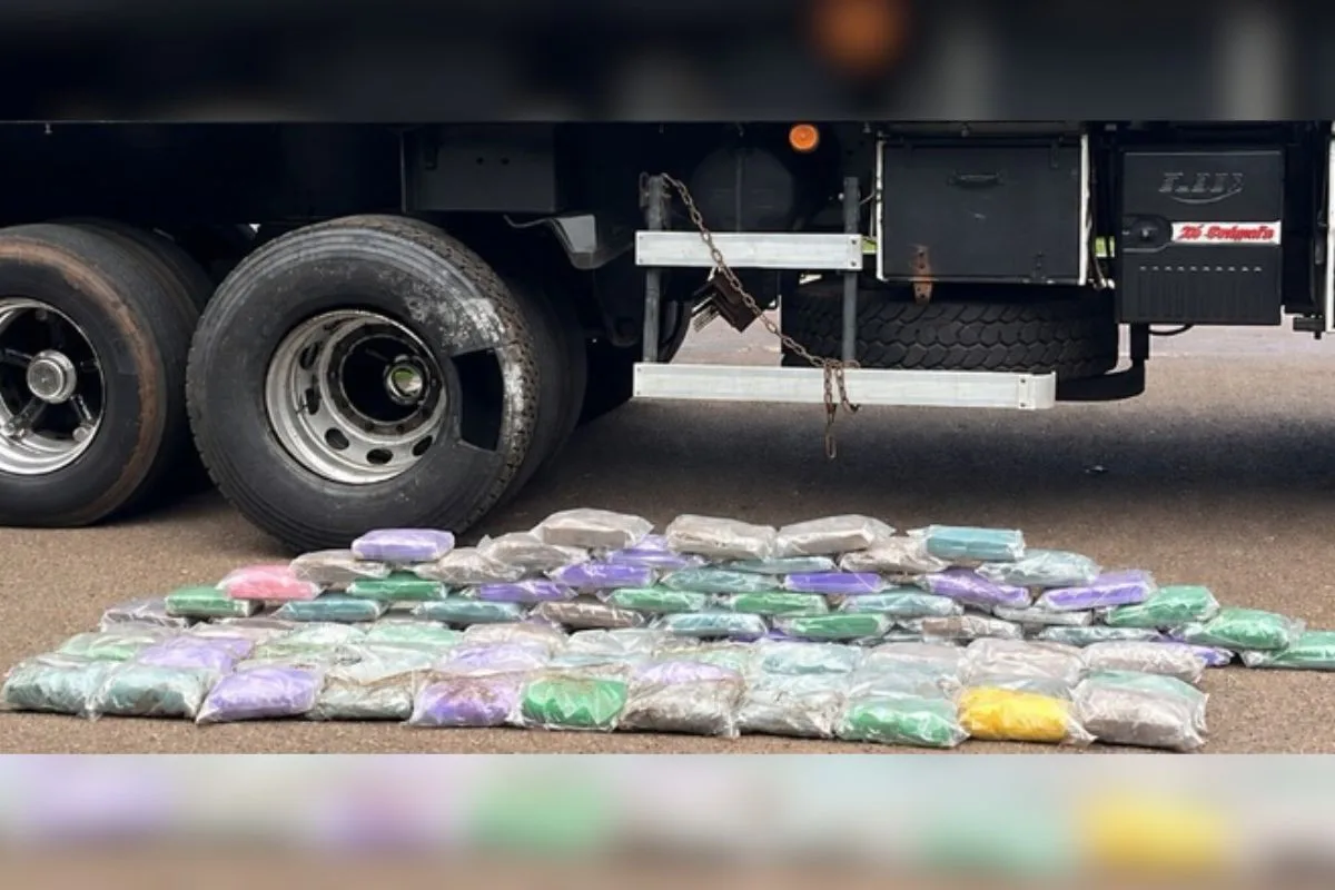 Polícia apreende quase 100 kg de cocaína, cigarros e mercadorias em ações no interior de SP