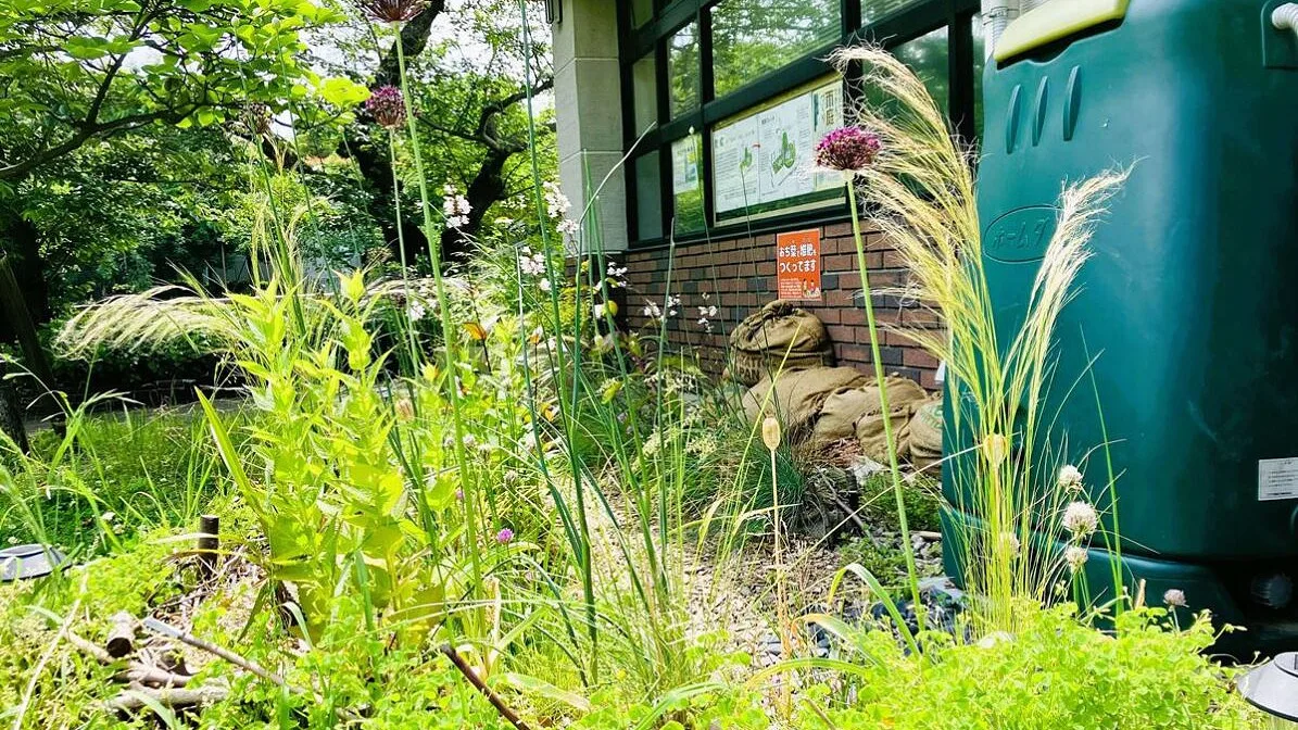 IA, refrigeração portátil e jardins de chuva: como o Japão se prepara para as alterações climáticas