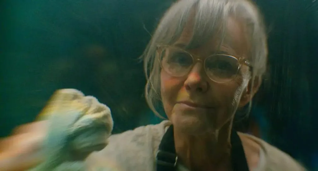 Emmy Awards 2026 | Sally Field leva o prêmio de Melhor Atriz em Filme por ‘Criaturas Extraordinariamente Brilhantes’