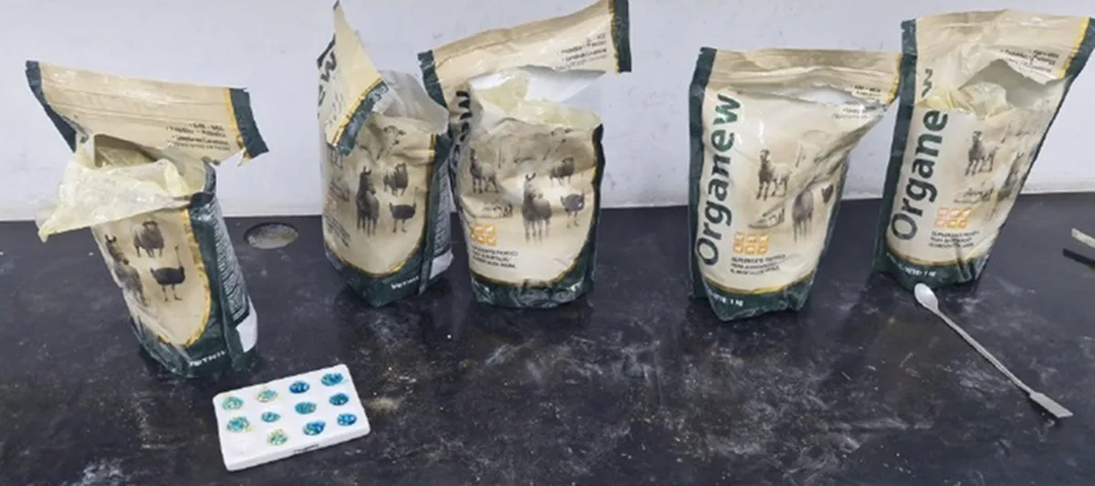 "Pré-treino proibidão": PF intercepta cocaína escondida em potes de whey