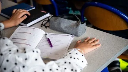 Un rapport du Conseil d'analyse économique propose un "plan d'action pour rattraper le retard français" à l'école et réduire les inégalités