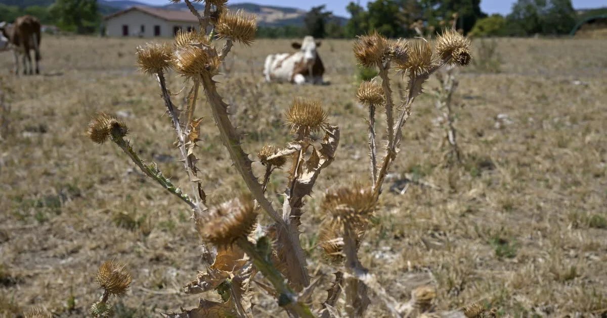 Rhône. Comment vont vraiment nos nappes d’eau souterraine ?