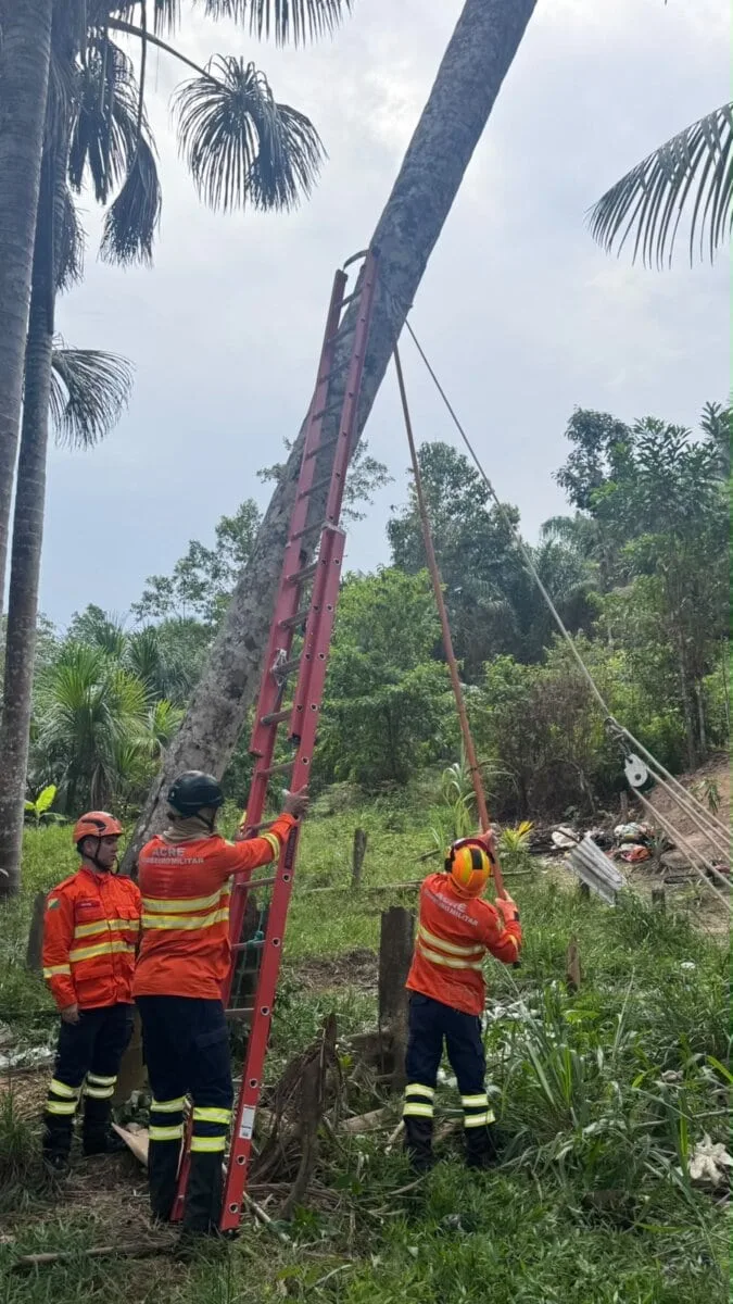 Temporal provoca queda de árvore e destelhamento em Cruzeiro do Sul; Bombeiros fazem alerta