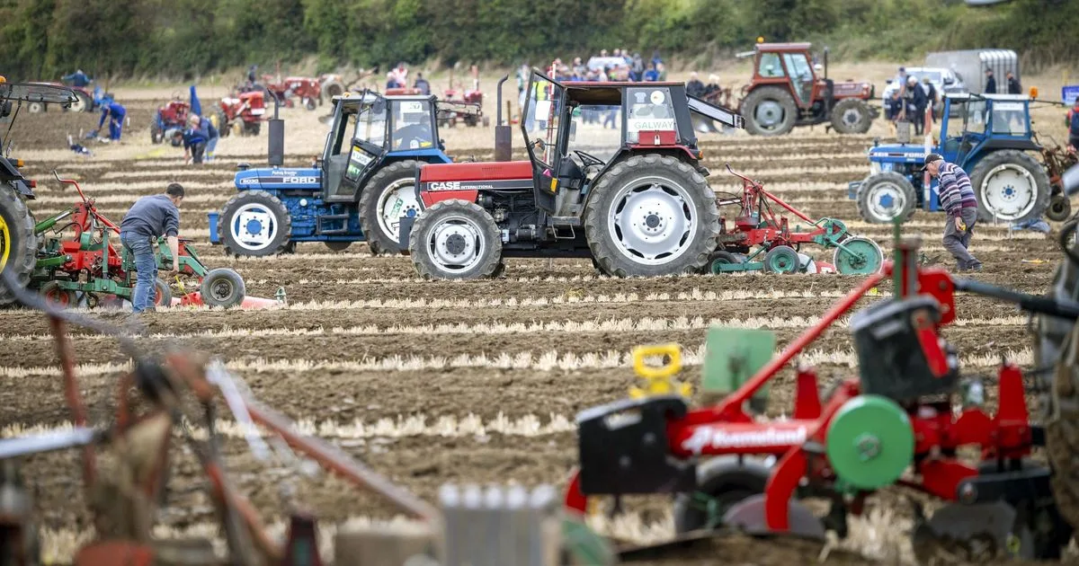 « C’est de la folie » : en Irlande, les agriculteurs pris en étau entre les exigences climatiques de Bruxelles et la menace d’une baisse des aides européennes