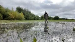 Burst pipe floods wildlife meadow for fourth time