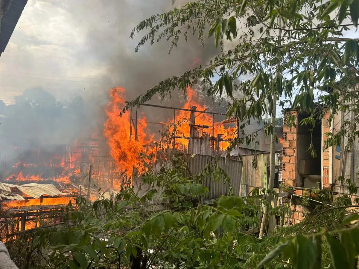 Manaus registra quase 1,2 mil incêndios em 2026; número de ocorrências florestais dispara mais de 300%
