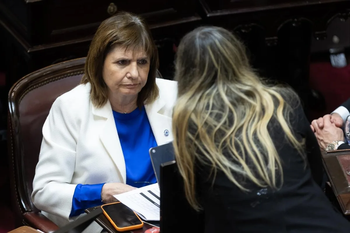 Bullrich puso en duda la eliminación de las PASO: “No puedo asegurar si se van a suspender o no”