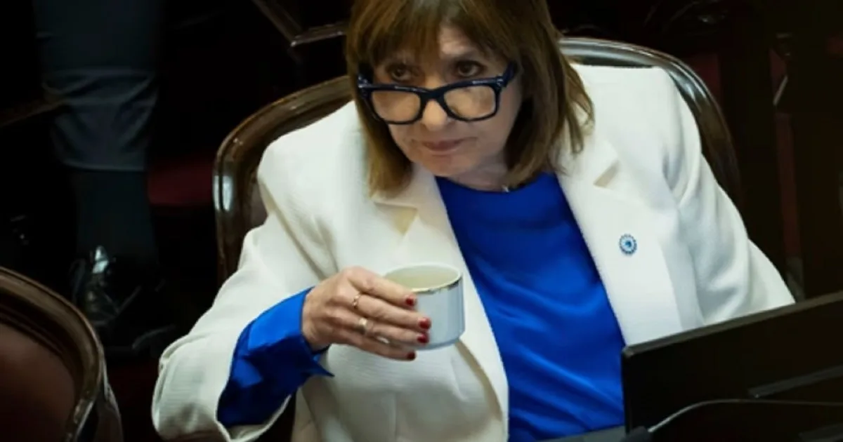 El oficialismo no logró avanzar con el Súper RIGI y peligra su tratamiento en el Senado
