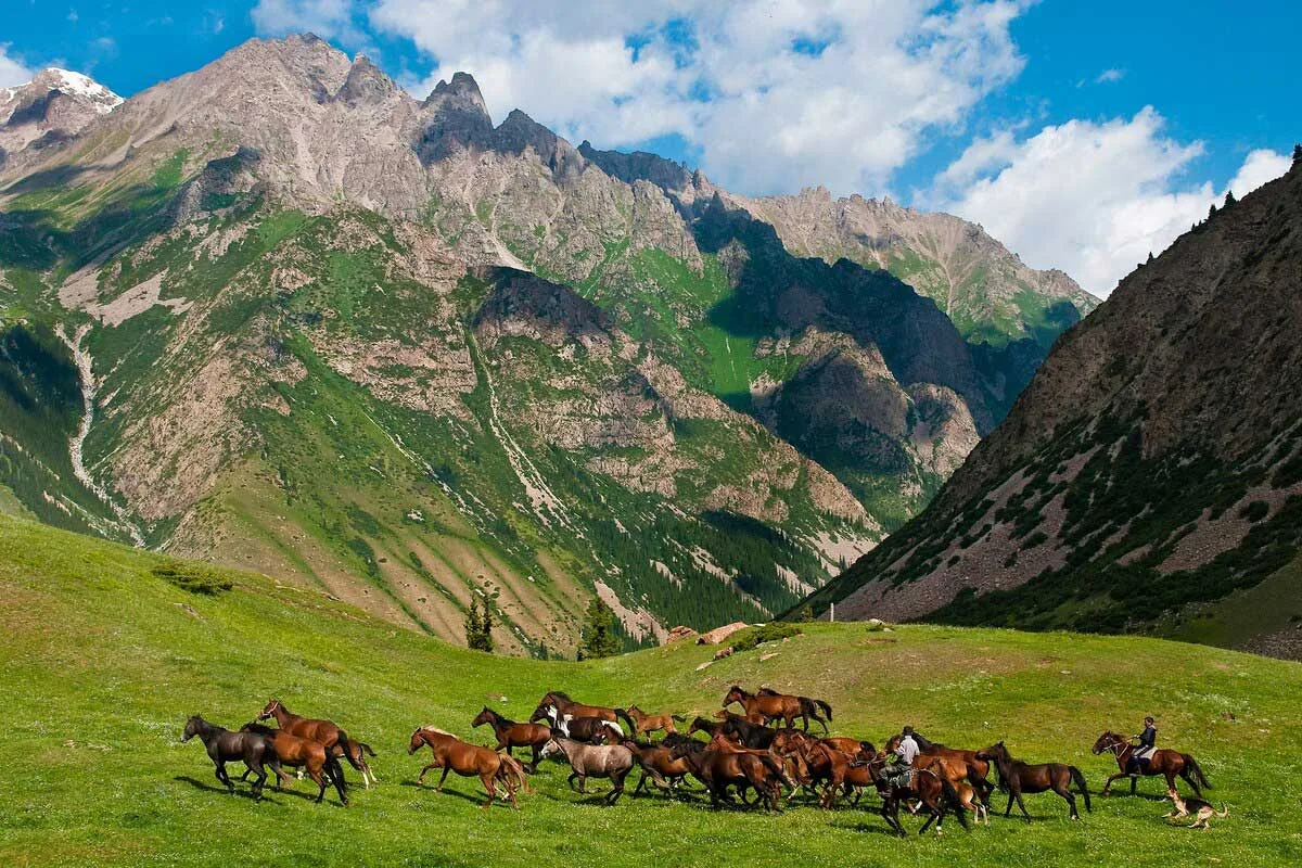 ギャラリー：世界遊牧民競技大会やドロミテ山脈など、自然と触れ合う9月の旅先 写真4点