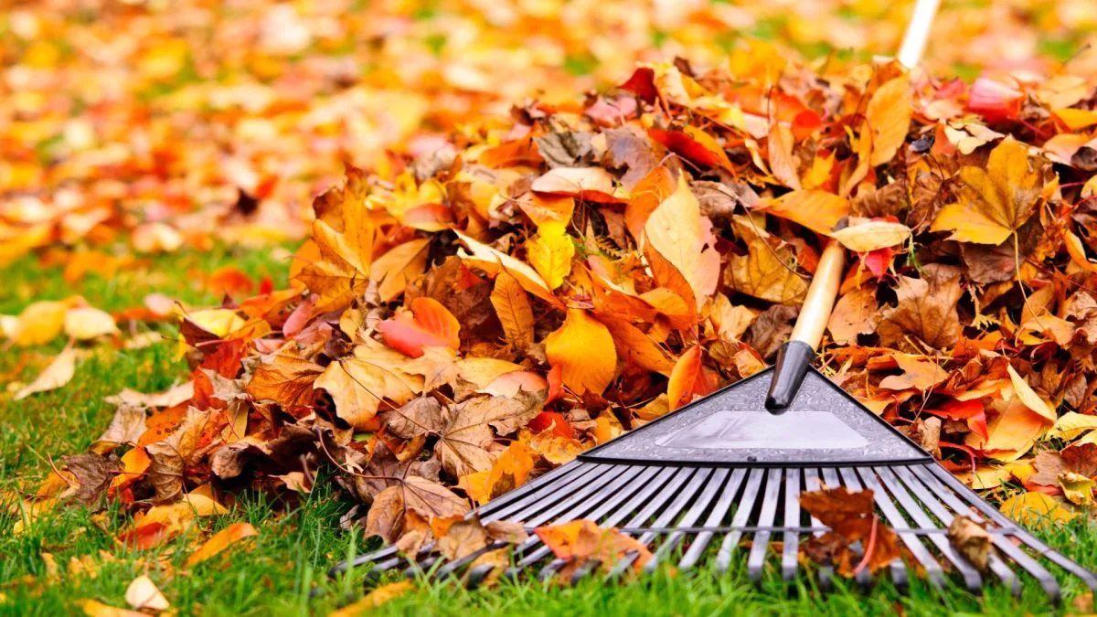 Équinoxe d’automne 2026 : pourquoi l’automne commence le 23 septembre, pas le 21