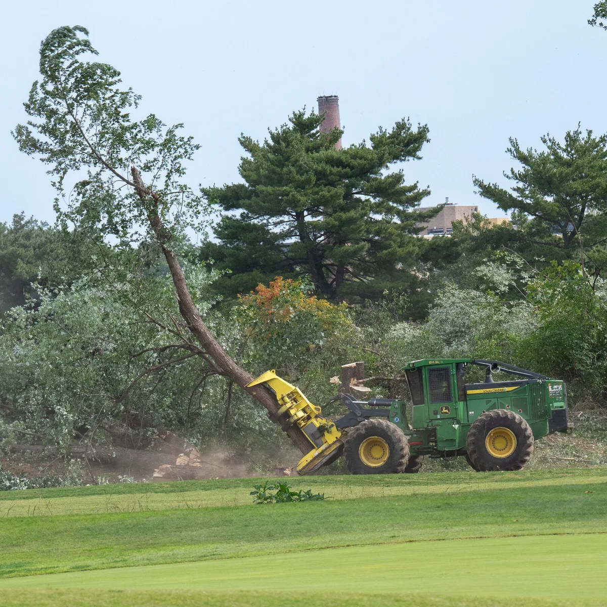Judge Orders Trump Administration to Answer for Tree Removals at D.C. Golf Course