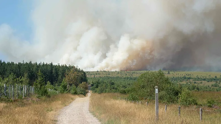 EU sends aircraft ​to tackle Belgium's biggest wildfire on record