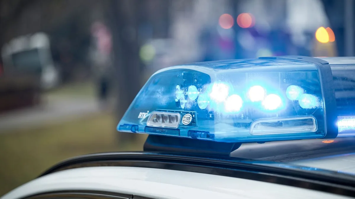 Carsharing kriminell: Junge Männer fahren gestohlenes Leihauto in die Wand