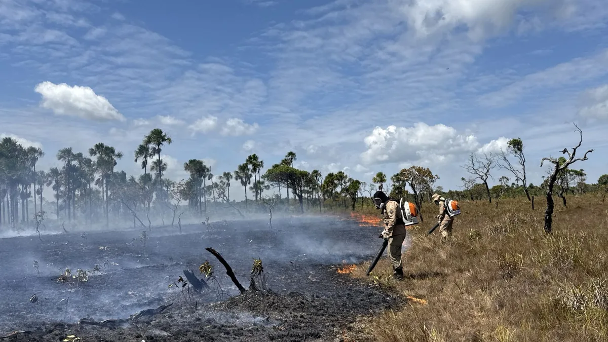 Focos de calor no AP saltam de 36 para 160 em um ano; Calçoene concentra metade das ocorrências