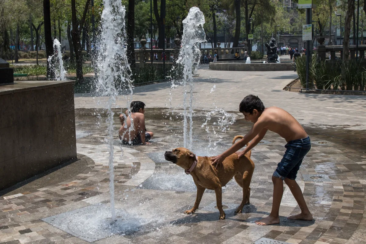 El Niño podría causar 451.000 muertes mundiales por calor y 2.300 en Venezuela, según científicos