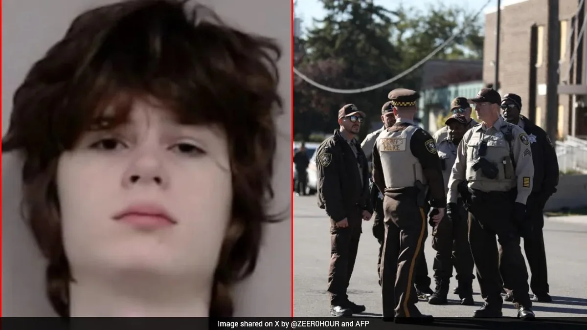 "Growing Anti-India Hate": Centre On US Teen's Hindu Temple Shooting Plot