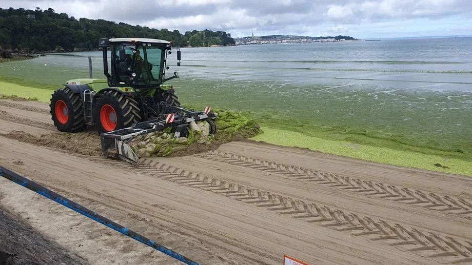 Algues vertes en Bretagne : la préfecture de région renforce les mesures après l'injonction de la justice