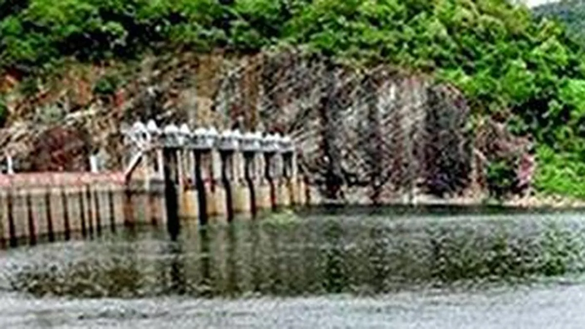 Water level in Papanasam dam stands at 44.40 feet