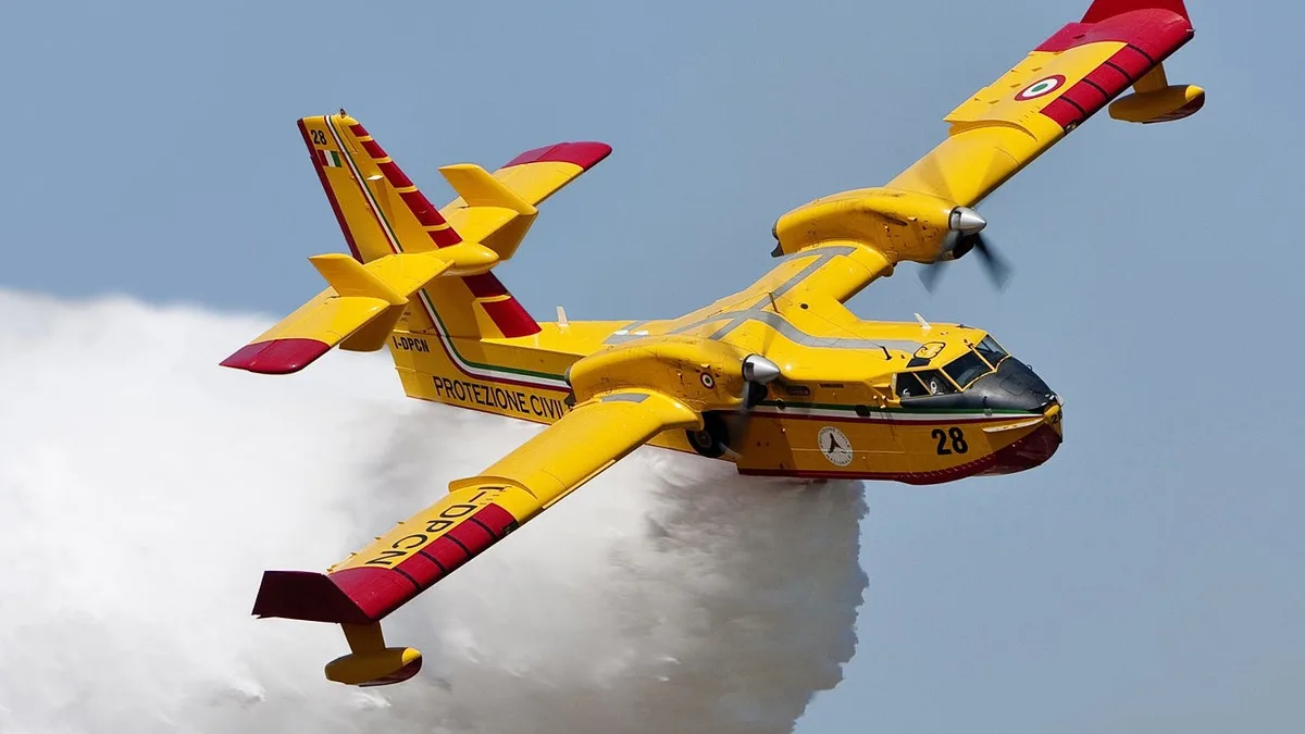 Portugal já comprou dois Canadair, mas há quem queira seis: petição com mais de 10 mil assinaturas chega hoje ao Governo
